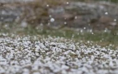 Сильний град побив урожай огірків на Житомирщині