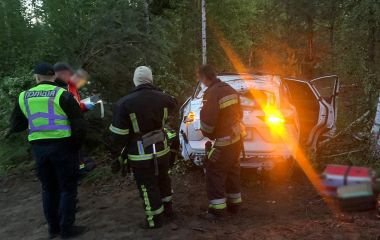Подробиці ДТП на Малинщині із загиблою пасажиркою: водій був тверезий