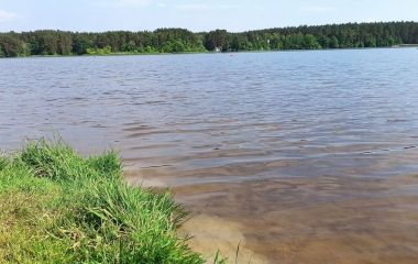 У Житомирі вода на дитячому і дорослому пляжах в гідропарку не відповідає нормам