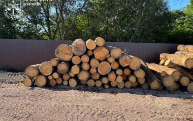 П’ятеро чоловіків, серед яких посадовці ДП «Ліси України», організували незаконний збут деревини на понад 1,4 млн грн – справу скеровано до суду