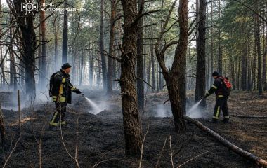 На Житомирщині ліквідували лісову пожежу, що виникла внаслідок падіння уламків російського безпілотника