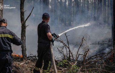 Дим із Чорнобильської зони може дістатися Житомирщини: жителів закликають стежити за якістю повітря