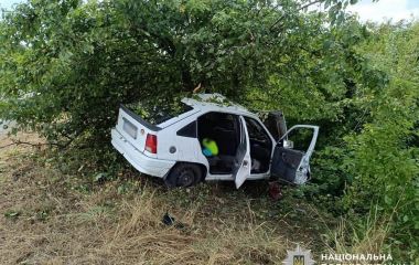 ДТП неподалік Туровця: автівка злетіла в кювет, загинула водійка