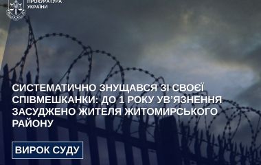 Систематично знущався зі своєї співмешканки: до 1 року ув’язнення засуджено жителя Житомирського району