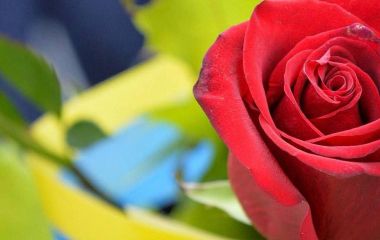 Майже два роки рідні жили надією: на щиті повернувся Андрій Зініч