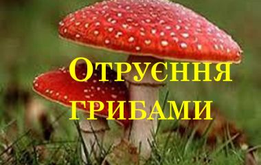 На Житомирщині зареєстровано перший випадок отруєння грибами