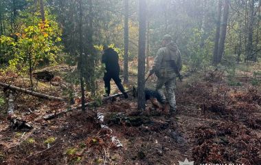 На Овруччині продовжують пошуки 76-річного Валерія Миклухи, який ще 1 жовтня пішов по гриби