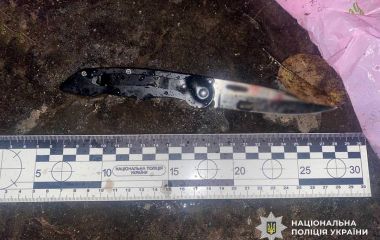 У Малині під час застілля місцевий чоловік пирнув ножем знайомого киянина