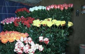 Влада Житомира збирається жорстко діяти з квіткарями на Московській
