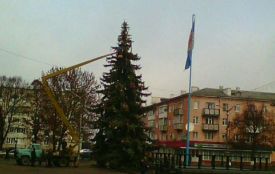 У Коростишеві відкрили новорічну ялинку