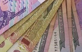 У 2015 році житомирські митники виявили порушень на 21,7 млн. грн.