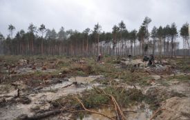 Керівник області та очільники правоохоронних органів Житомирщини відвідали місця видобутку бурштину. ФОТО