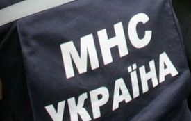 На Житомирщині врятували дівчинку, що провалилася на водоймі