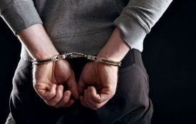 На Житомирщині затримали серійного крадія