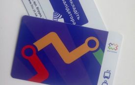Рік Жовтого Земляного Собаки: на які зміни чекати житомирянам у наступному році