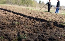 У березні земельні ділянки передадуть 3 ОТГ Житомирської області