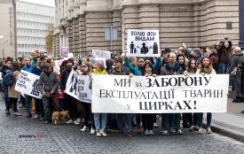 У Житомирі пройде Всеукраїнський марш за тварин