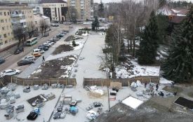 «У нас був акт на 55 дерев, а ми видалили 12»: чому на Новому бульварі знищили озеленення