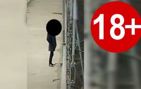З'явилося відео і фото самогубства з підвісного мосту у парку (18+)