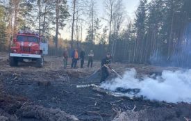 Лісові пожежі рятуватимуть 30-річні УРАЛи вартістю 1,3 мільйони