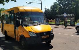 У Житомирі планують створити модель міської маршрутної мережі