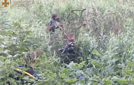 У Малині рятувальники врятували чоловіка, який застряг у болоті