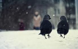 4 лютого: що святкувати, іменинники дня і погода у Житомирі