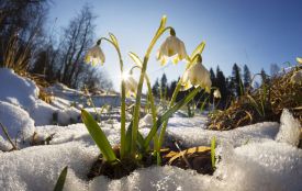 Тепло прийде різко і відразу: кліматолог попередила українців про нетипове настання весни