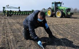 Посівна в Україні не розпочалася лише в одній області - прем'єр
