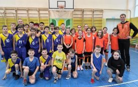 На Житомирщині пройшов чемпіонат області з баскетболу