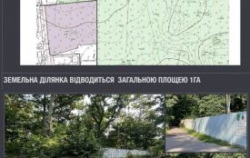 Сергій Сухомлин - про плани створення в Житомирі сучасного Центру реабілітації для військових і  реконструкцію Гідропарку