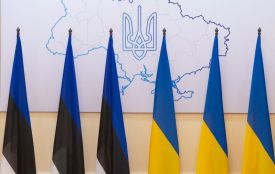 Естонська ініціатива з відновлення Житомирщини