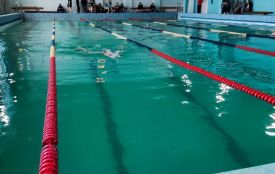 У Житомирі відбувся відкритий зимовий чемпіонат Житомирської області з плавання