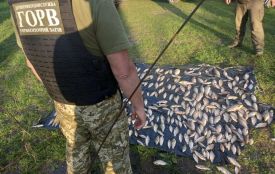 На річці Уж прикордонники виявили браконьєрів, які встигли наловити риби на пів мільйона гривень