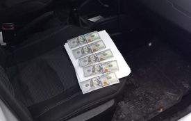 У Пулинах нетвереза водійка пропонувала патрульним 500 доларів США хабара