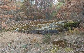 На Житомирщині відкриються нові еколого-просвітницькі маршрути в рамках проєкту DrevaTur