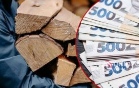 Мінсоцполітики: 245, 5 тисяч домогосподарств отримали 3,4 млрд грн виплат на придбання твердого пічного палива взимку