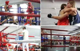 У Житомирі відбувся чемпіонат області з боксу