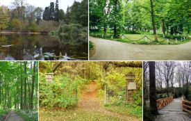 Парк-скарби Житомирщини: 23 пам’ятки садово-паркового мистецтва