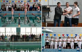 У Житомирі пройшов Відкритий зимовий чемпіонат області з плавання, присвячений Героям України