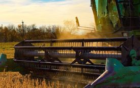 Підсумки роботи агропромислового комплексу Житомирщини у 2024 році