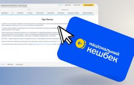 єПідтримка, Національний кешбек, Зимова підтримка, Пакунок малюка: як декларувати отриману допомогу