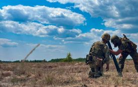 Європарламент закликав Єврокомісію розширити санкції щодо російської та білоруської деревини!