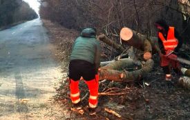 На дорогах Житомирщини ліквідовували наслідки негоди