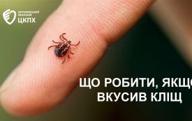 Обережно: кліщі!