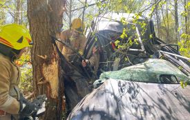 ДТП поблизу Ушомира: травмувалися четверо, двох з понівеченої автівки визволяли рятувальники