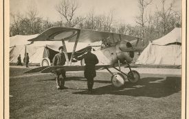 Газети Житомира від 2 травня 1914 року: Авіаційна катастрофа поблизу Житомира у 1914 році: історичний екскурс та інші авіаційні інциденти регіону