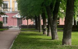 Вихідні в Україні будуть дощовими та прохолодними