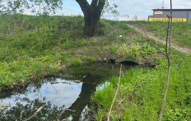 У пробах води, відібраних у місті Звягель, виявлено перевищення норм забруднення
