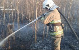 У Коростені вогонь охопив 2,9 га сухостою та впритул наблизився до житла